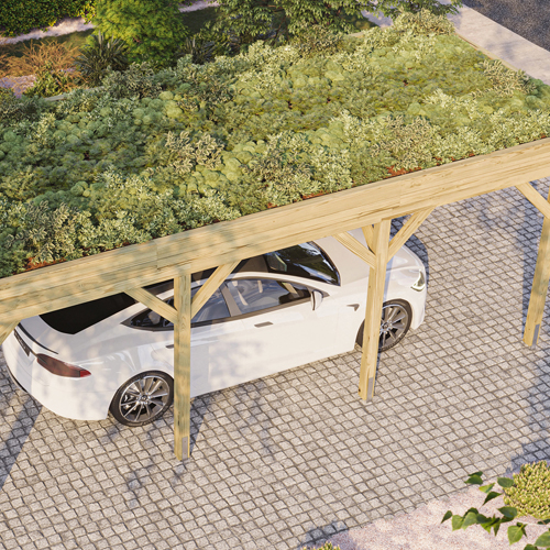 Carports mit Dachbegrünung