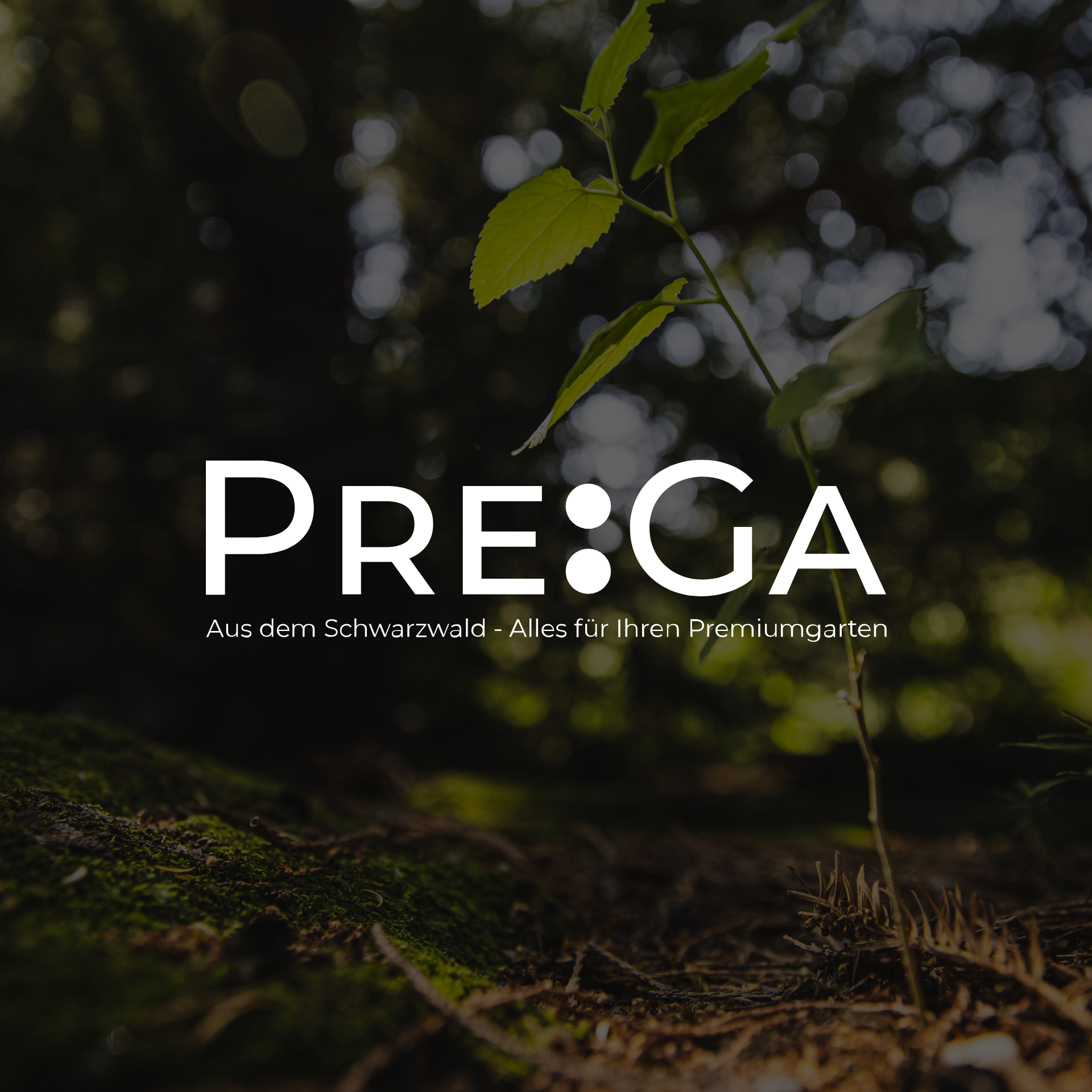 Bild von Made in Germany