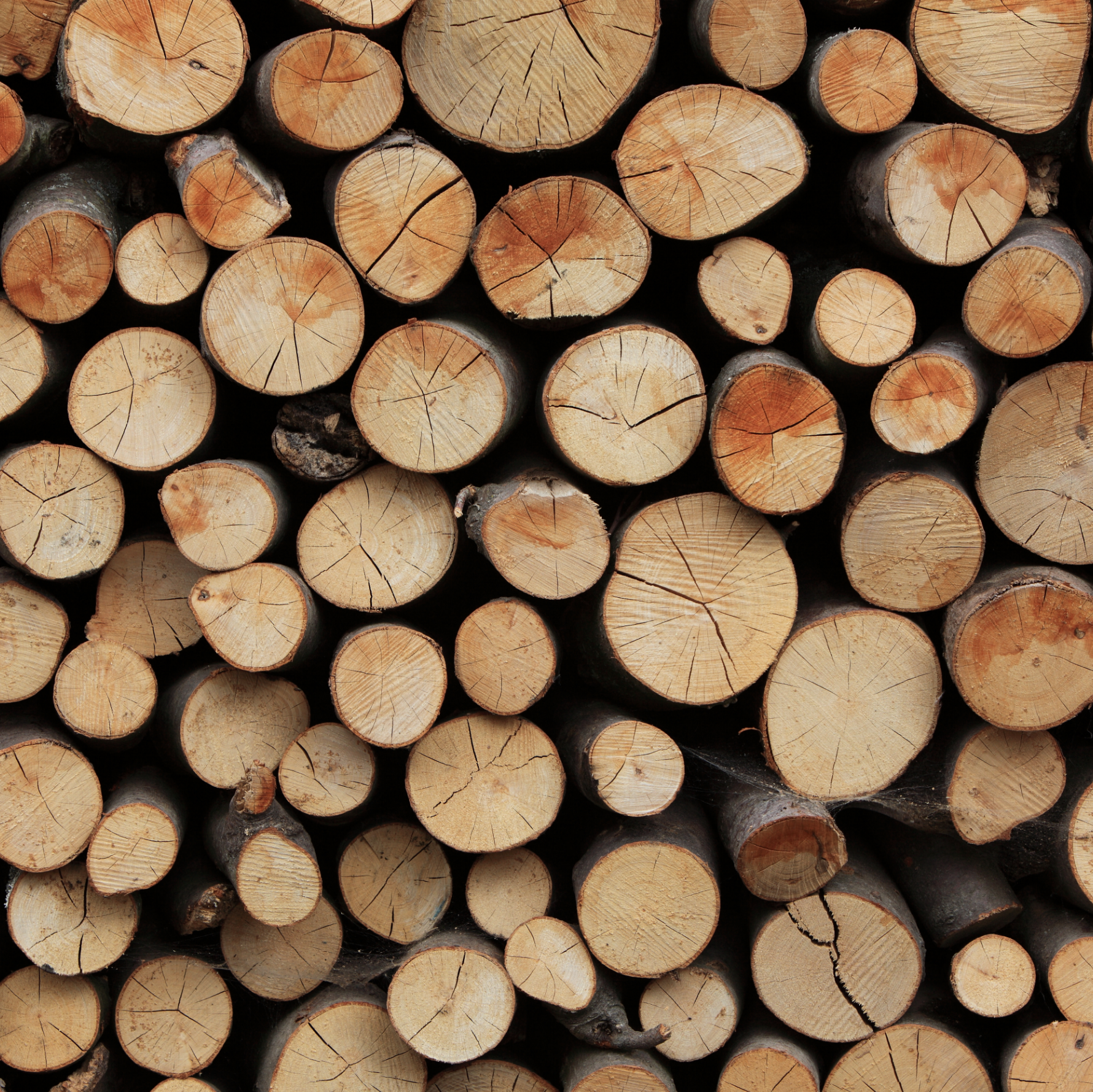 Bild von Heimische Hölzer